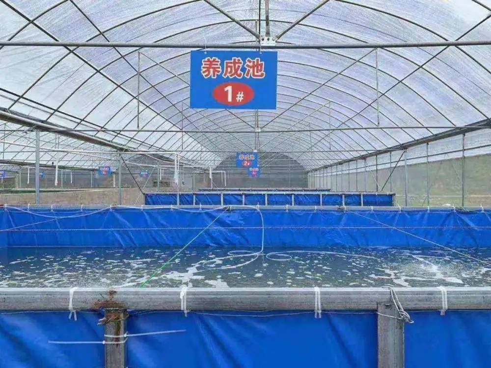 南美白对虾养殖池